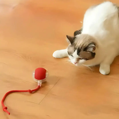 Pelotita Smart Interactiva Para Gato Y Gatitos Con Piolin Rojo