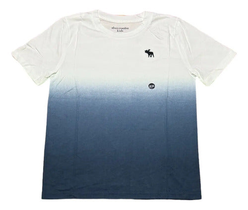 Remera Abercrombie Kids Niño Varón Degrade Manga Larga