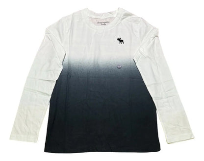 Remera Abercrombie Kids Niño Varón Degrade Moderna