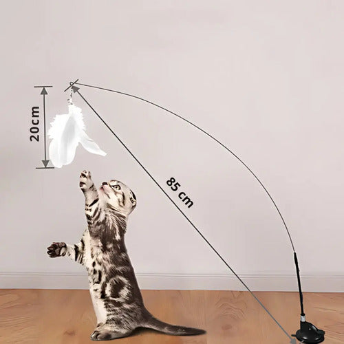 Juguete Para Gato Varita Soporte Innovador Y 3 Plumas Regalo Negro