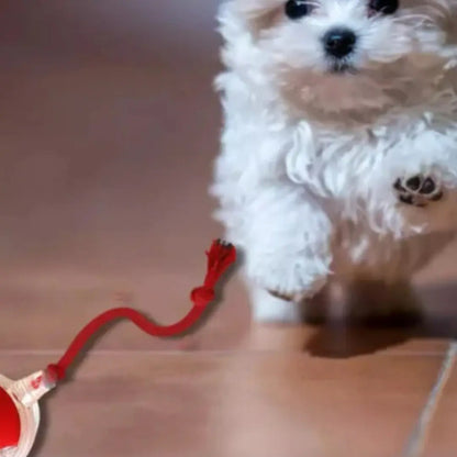 Pelotita Smart Interactiva Para Gato Y Gatitos Con Piolin Rojo