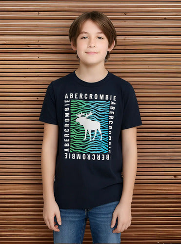 Remera Abercrombie Kids Niño Varón Comoda Moderna Logo