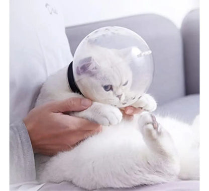 Bozal Casco Para Gato Cortes Y Post Cirugía Trasparente