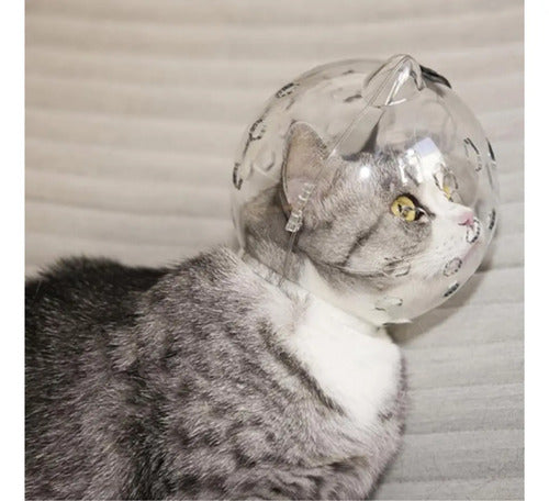 Bozal Casco Para Gato Cortes Y Post Cirugía Trasparente