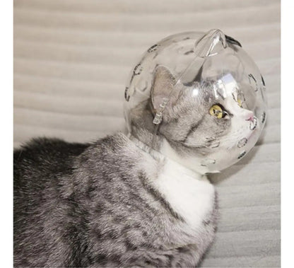 Bozal Casco Para Gato Cortes Y Post Cirugía Trasparente