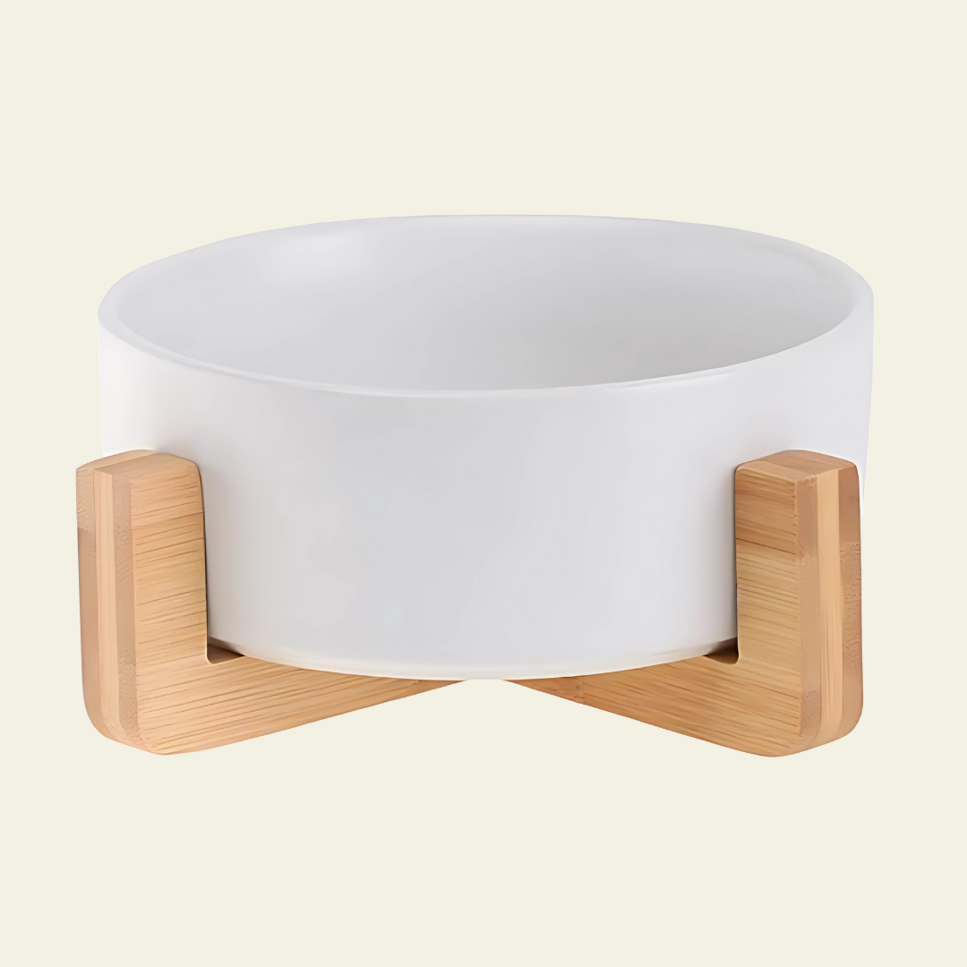 Plato de ceramica individual