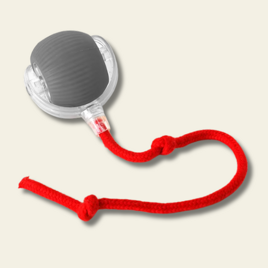 Pelotita smart interactiva con piolin