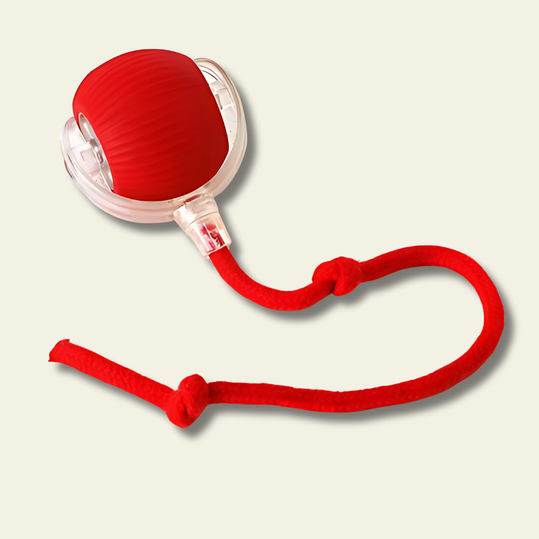 Pelotita smart interactiva con piolin