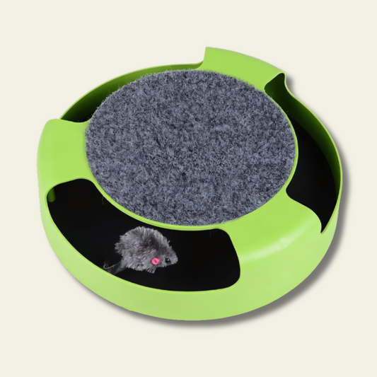 Ratoncito escondido interactivo